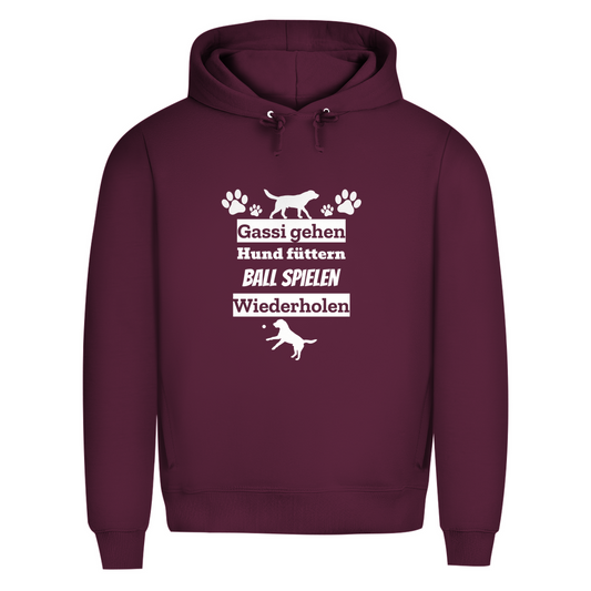 Alltag- Bio-Hoodie für Herren