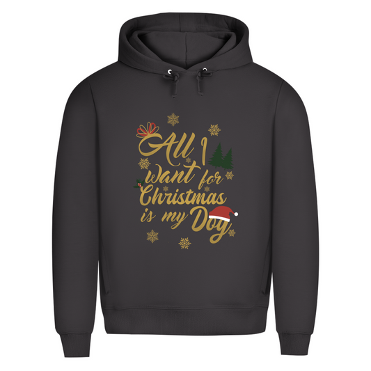 All I want - Bio-Hoodie für Herren