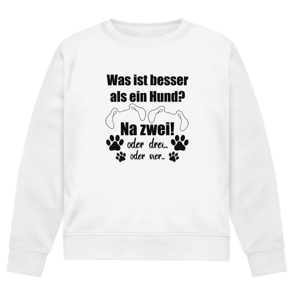 Je Mehr Desto Besser - Bio - Sweatshirt für Herren