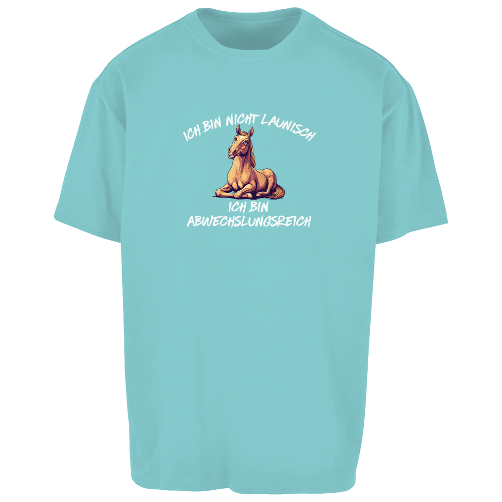 Abwechslungsreich - Oversize T-Shirt-Unisex