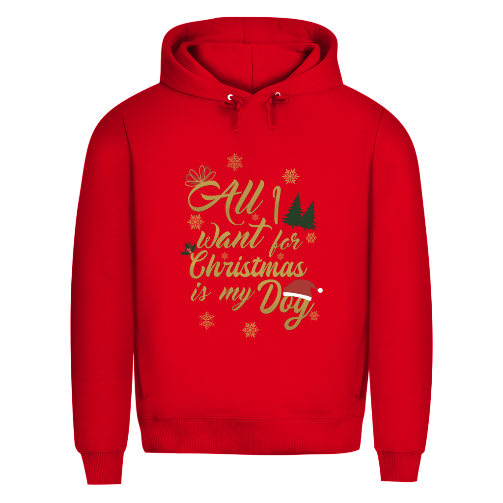 All I want - Bio-Hoodie für Herren