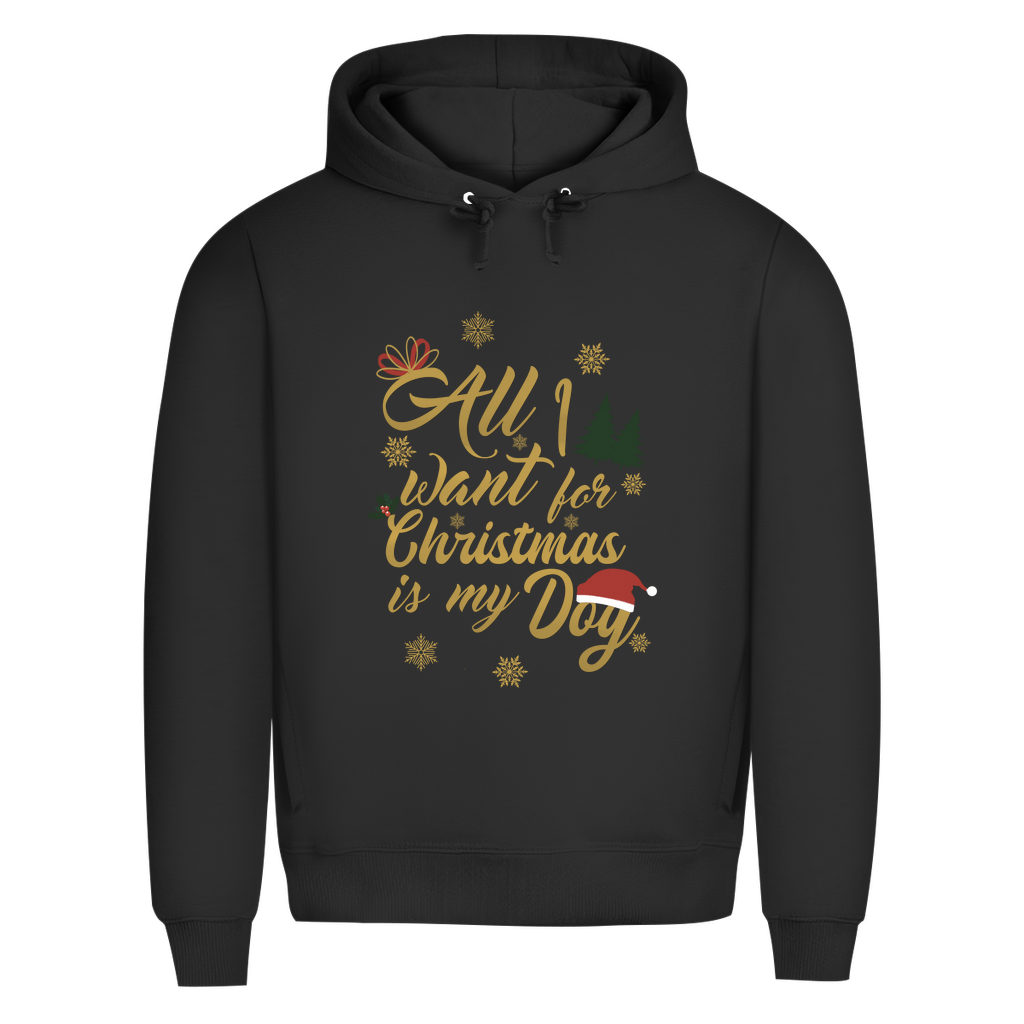 All I want - Bio-Hoodie für Herren
