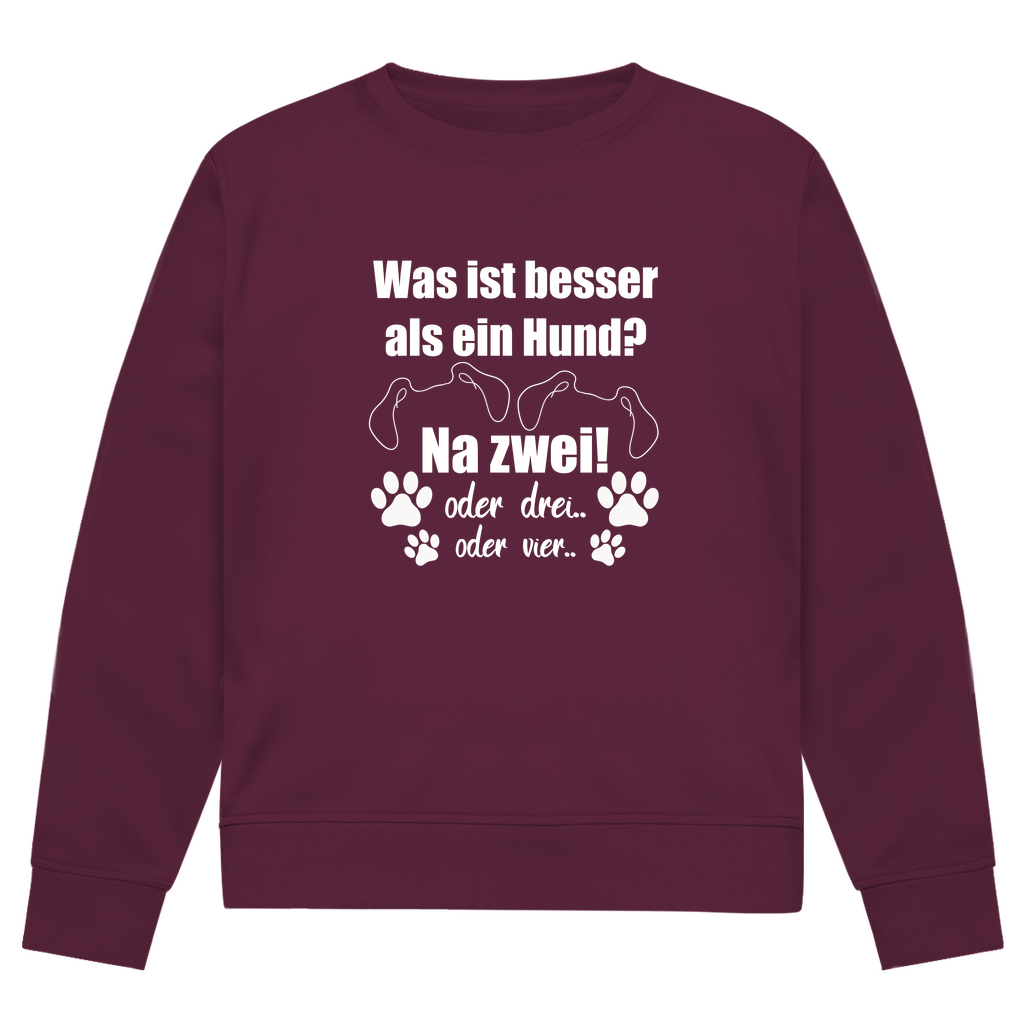 Je Mehr Desto Besser - Bio - Sweatshirt für Herren