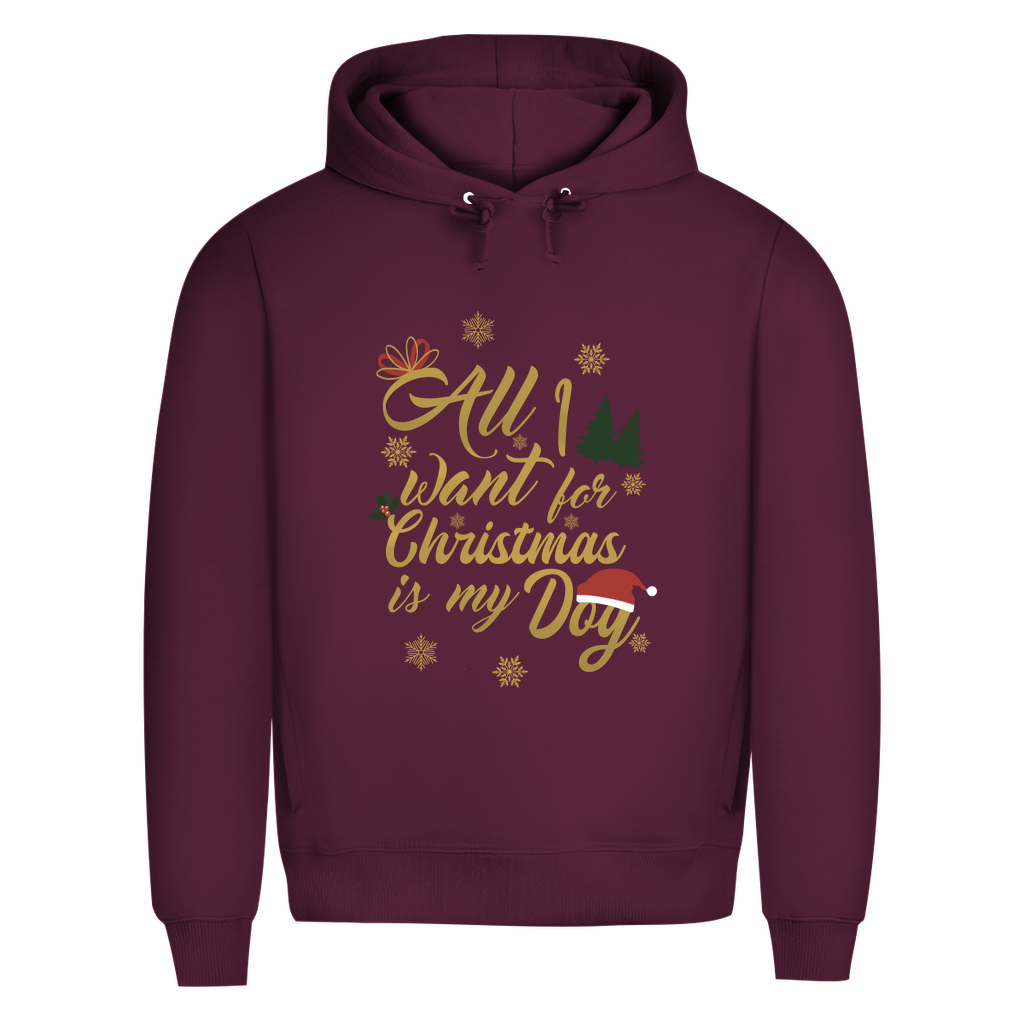 All I want - Bio-Hoodie für Herren