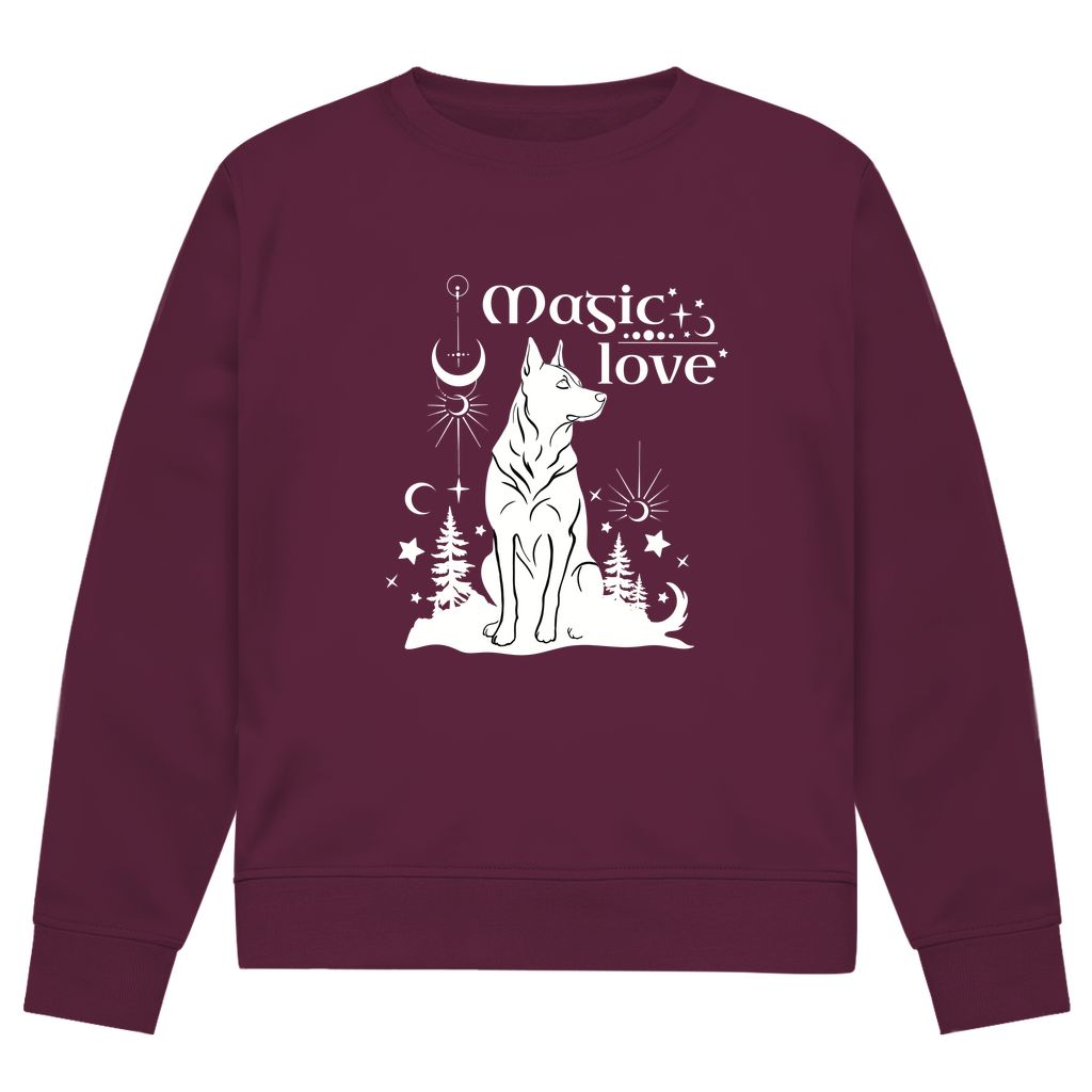 Magic Love - Bio Sweatshirt für Herren