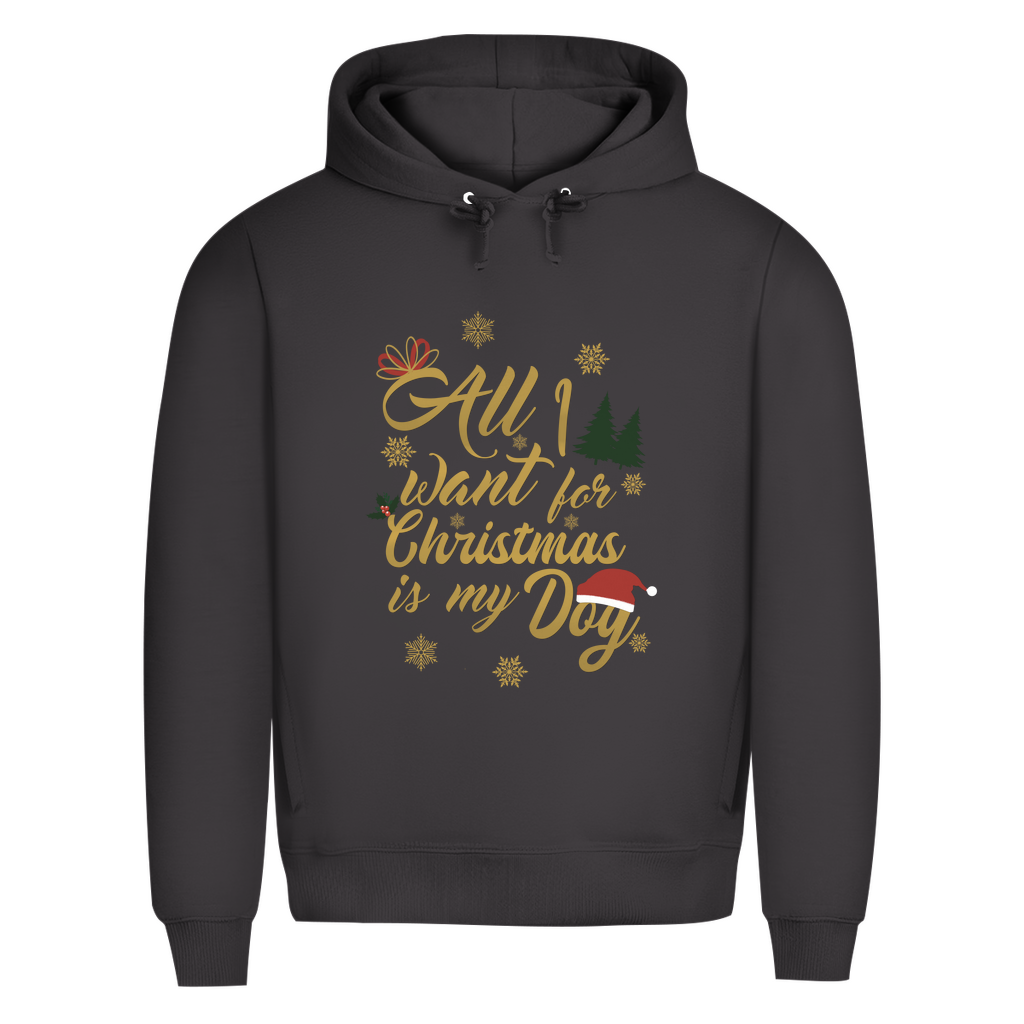 All I want - Bio-Hoodie für Herren