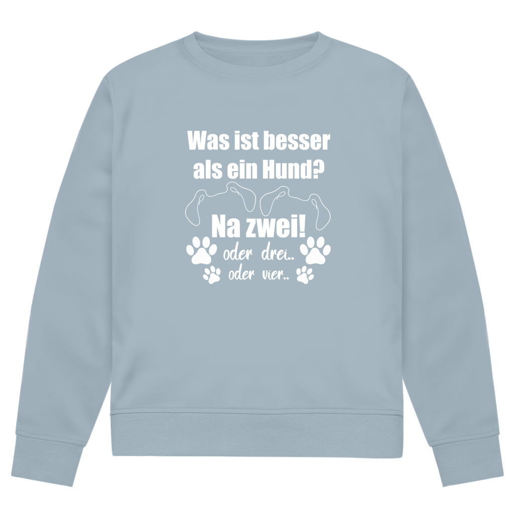 Je Mehr Desto Besser - Bio - Sweatshirt für Herren