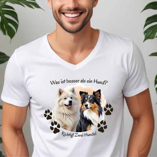 Was ist besser? - V-Shirt für Herren