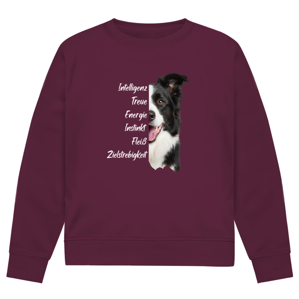 Collie Spirit - Bio-Sweatshirt für Herren