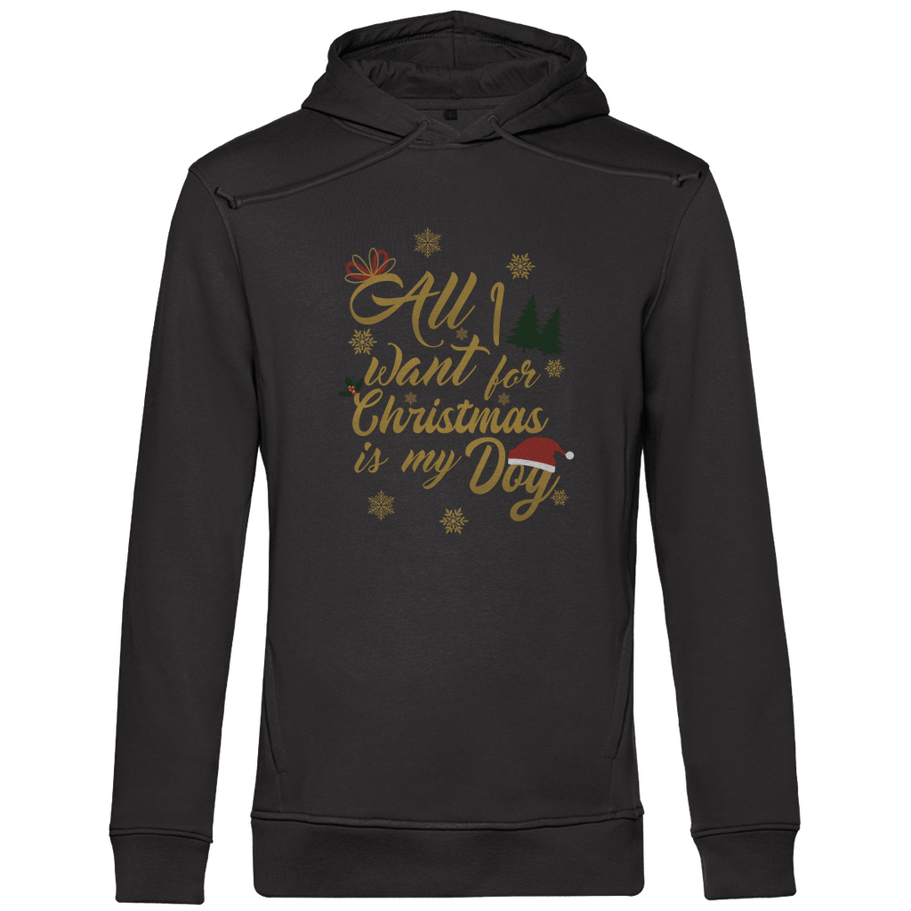 All I want - Bio-Hoodie für Herren-Weihnachten