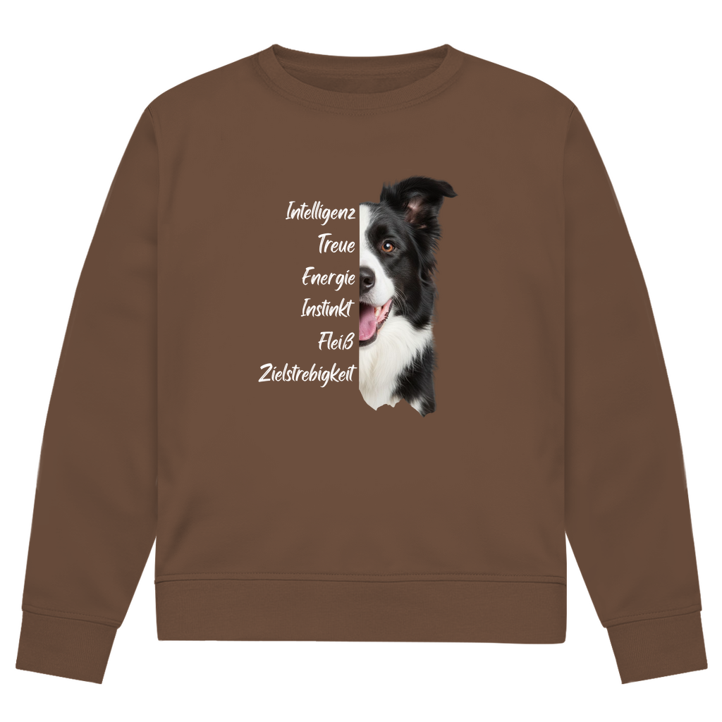 Collie Spirit - Bio-Sweatshirt für Herren