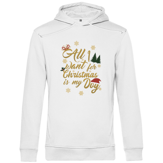 All I want - Bio-Hoodie für Herren-Weihnachten